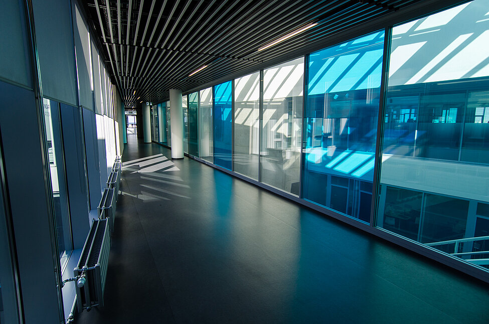 University of Iceland
