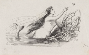The little mermaid illustration