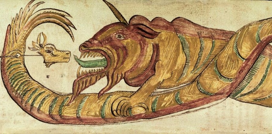 Illustration of dragon