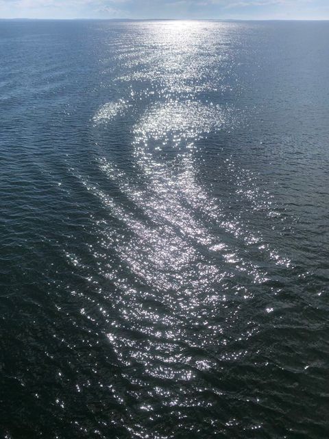 Sea
